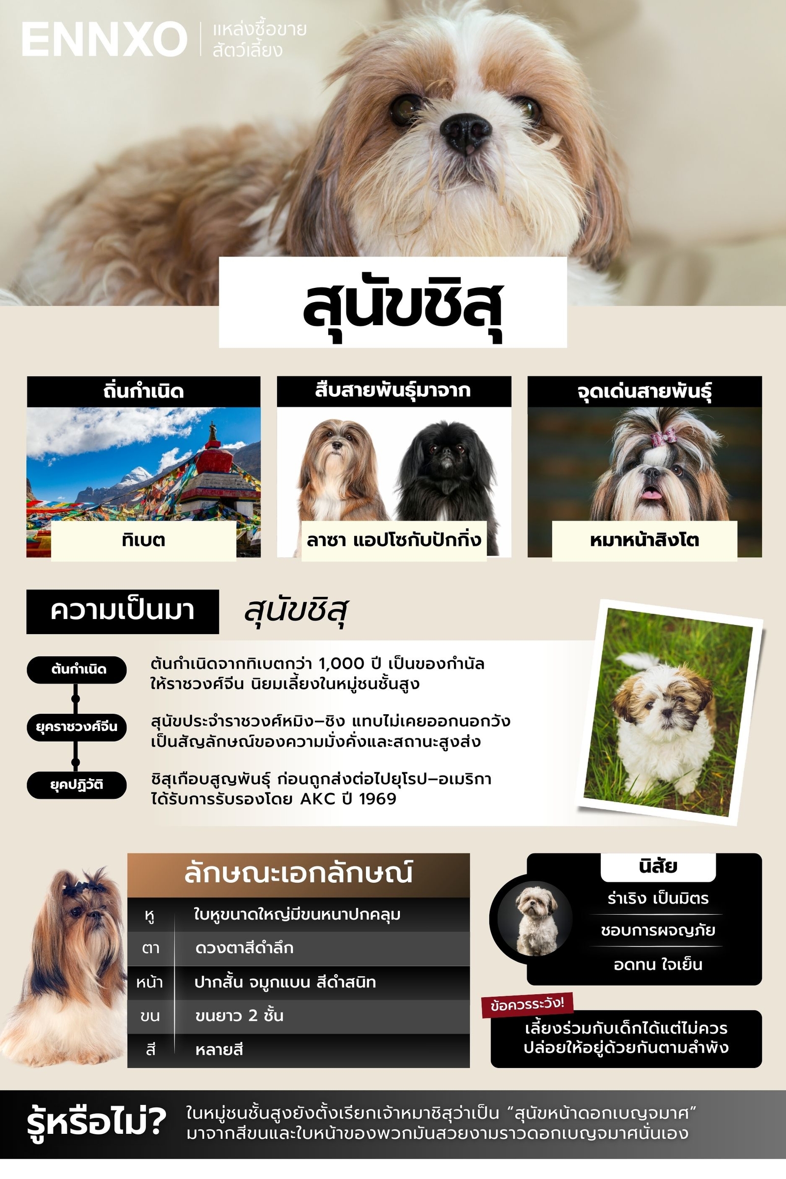 สรุปข้อมูลหมาชิสุ