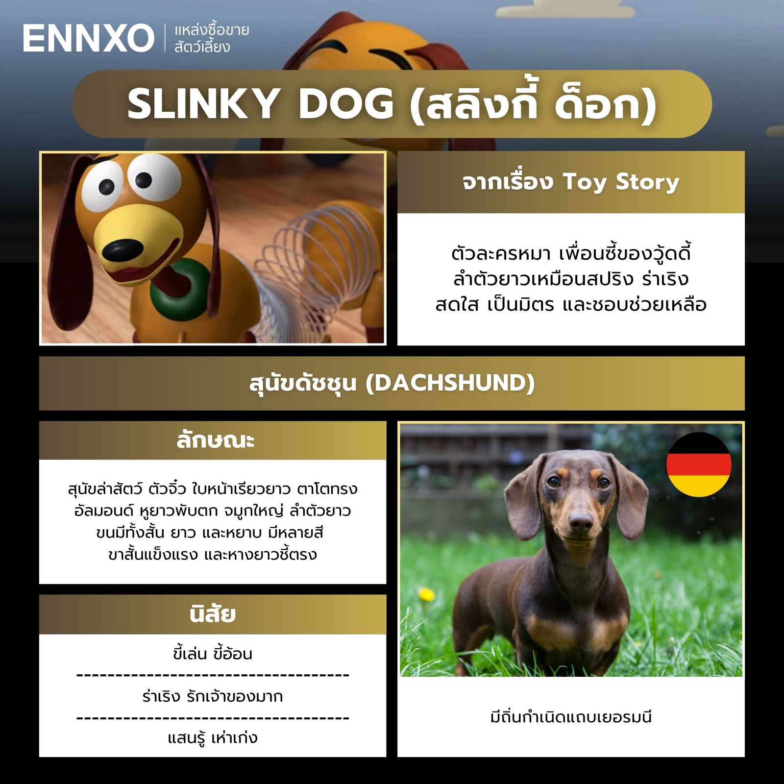 สลิงกี้ ด็อก หมาจาก Toy Story