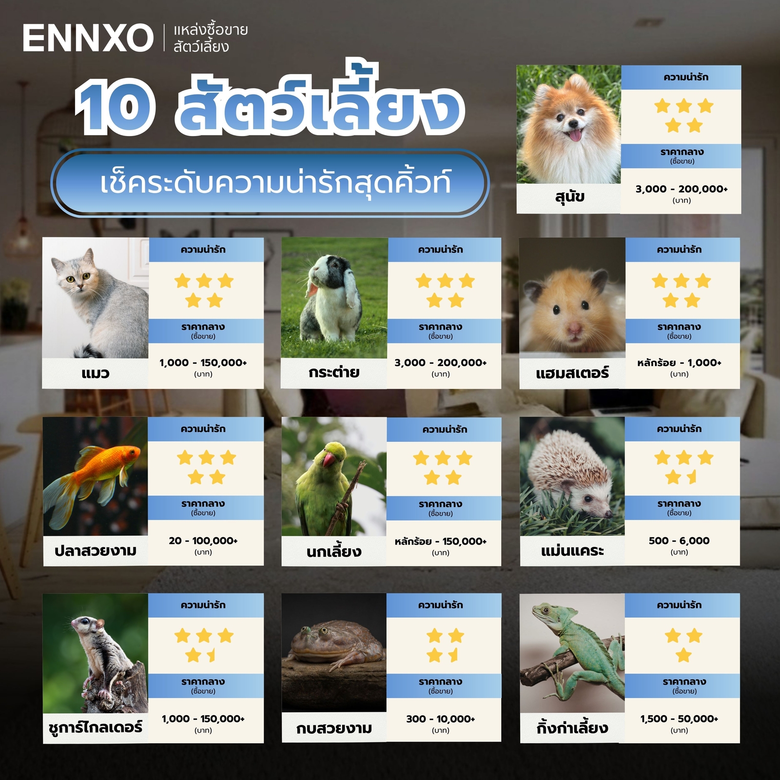 สัตว์เลี้ยงน่ารัก-10-ชนิด-อัปเดตล่าสุด
