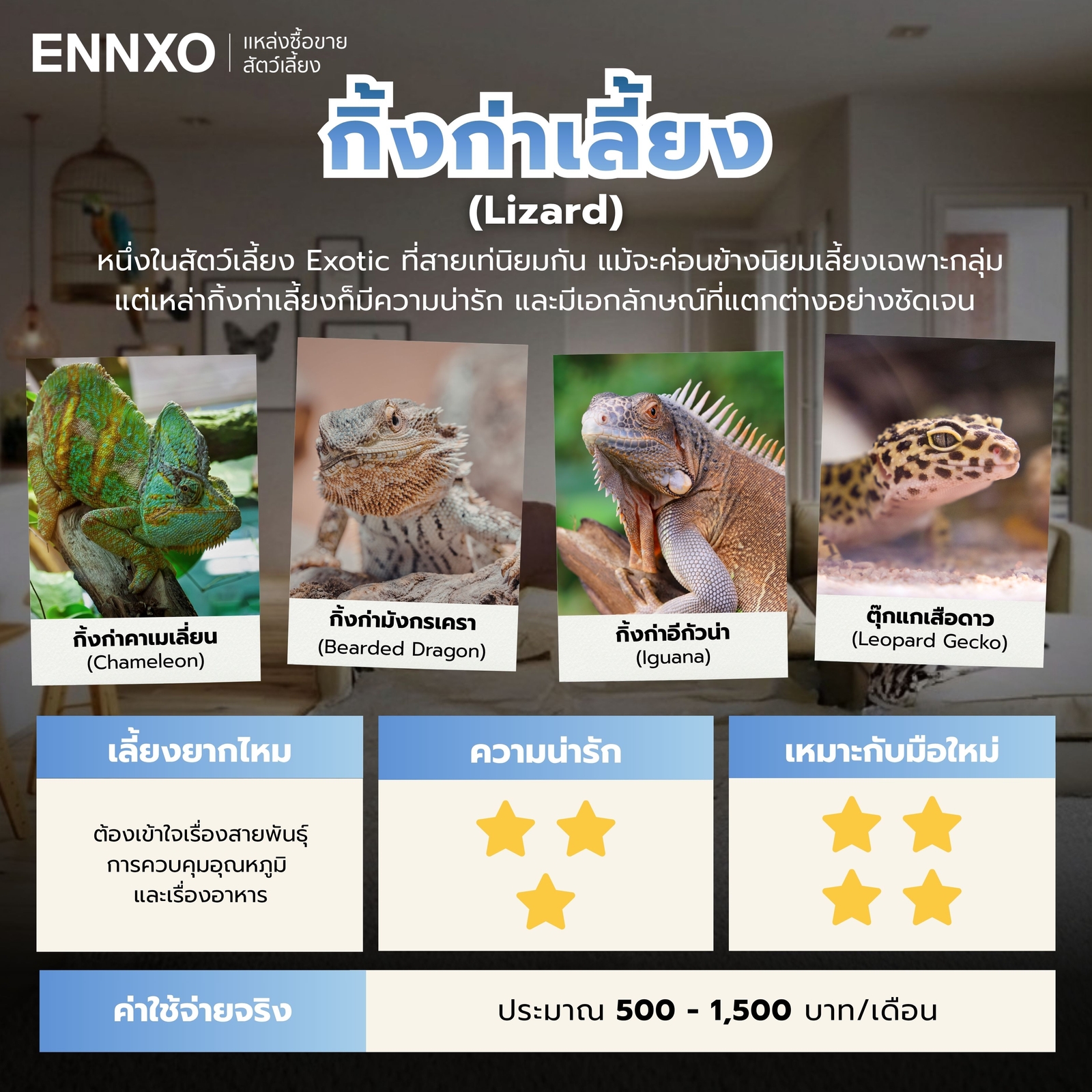 สายพันธุ์กิ้งก่าเลี้ยง-ที่นิยม