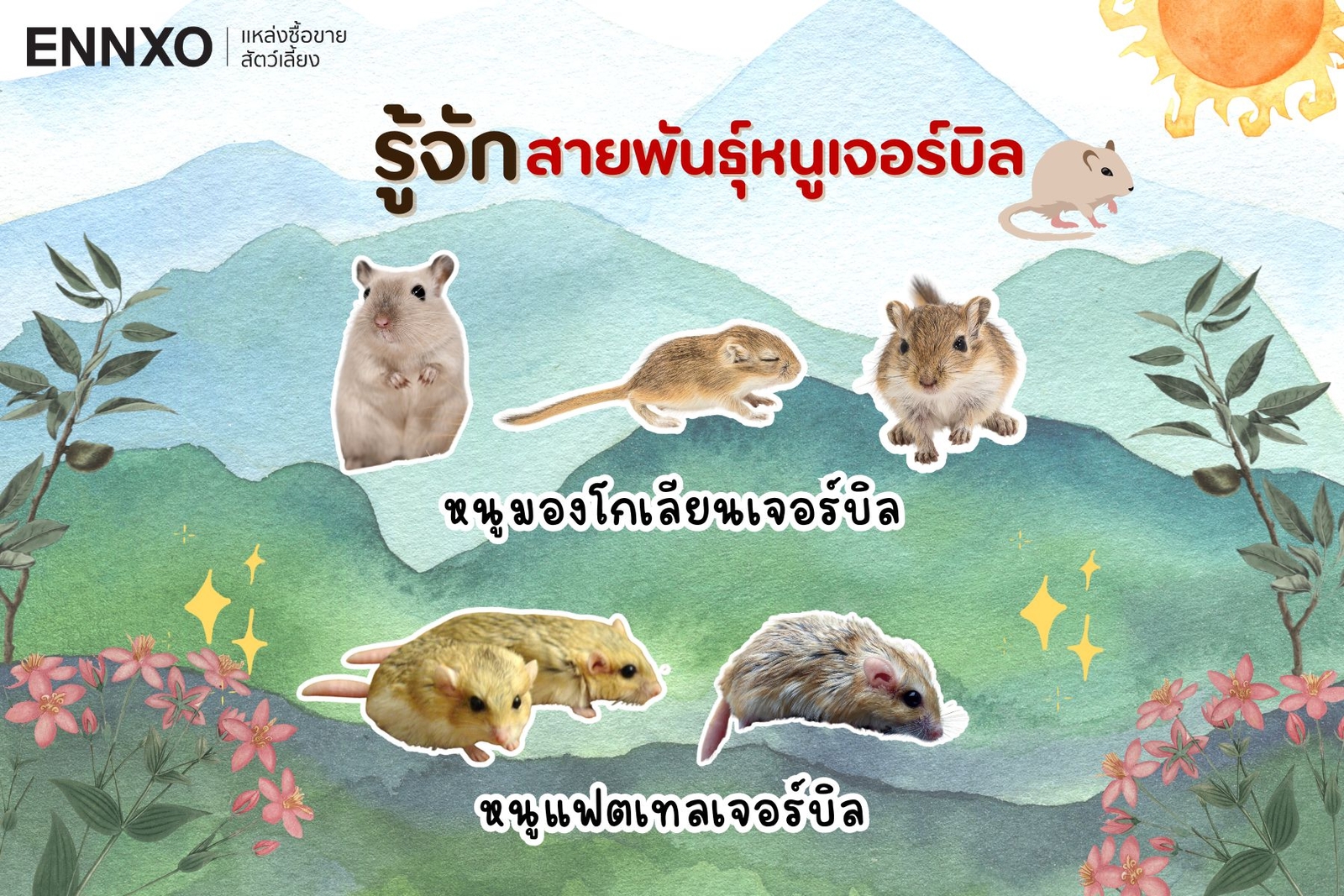 สายพันธุ์หนูเจอร์บิล แฟตเทล