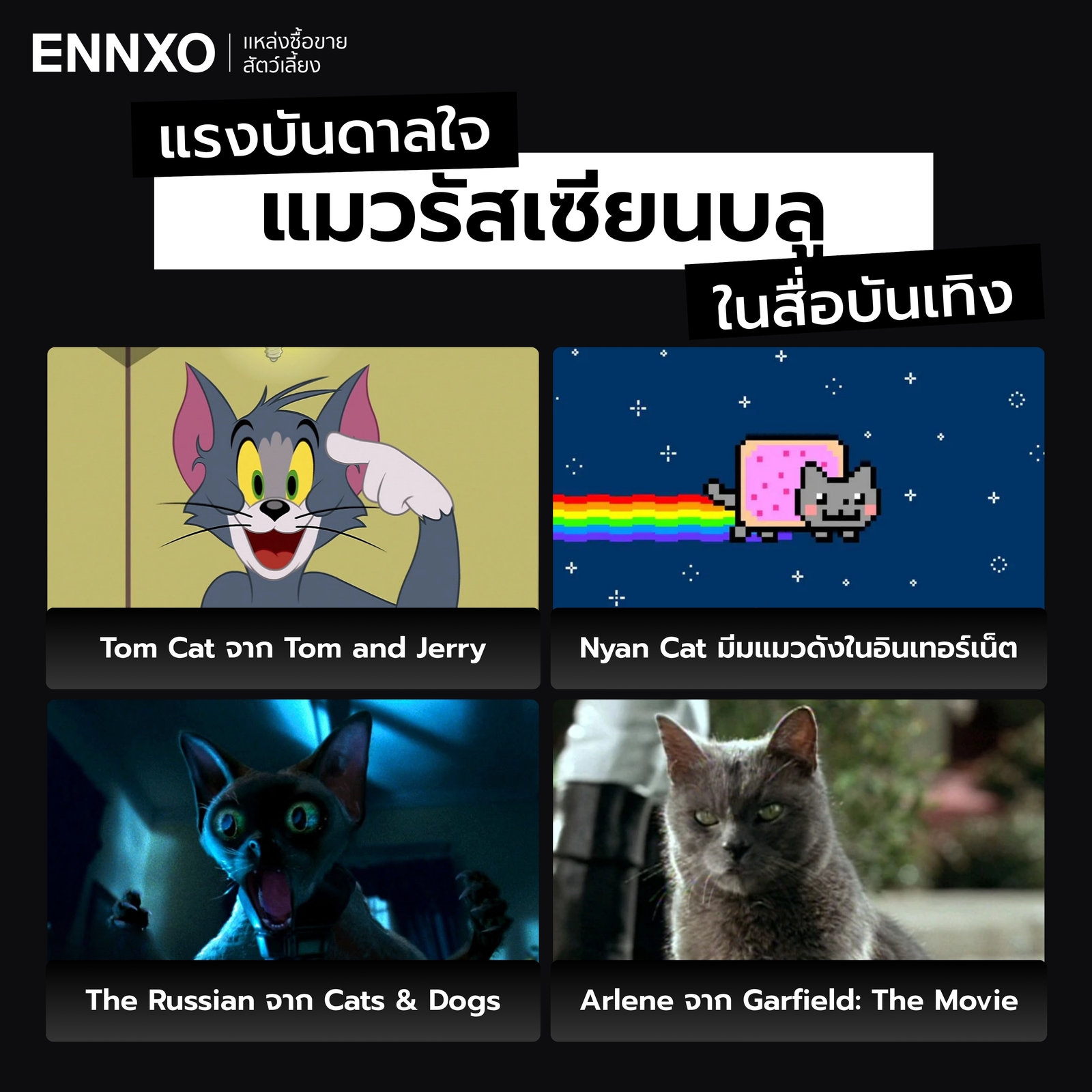 แมวรัสเซียนบลู ที่ปรากฏในสื่อบันเทิง