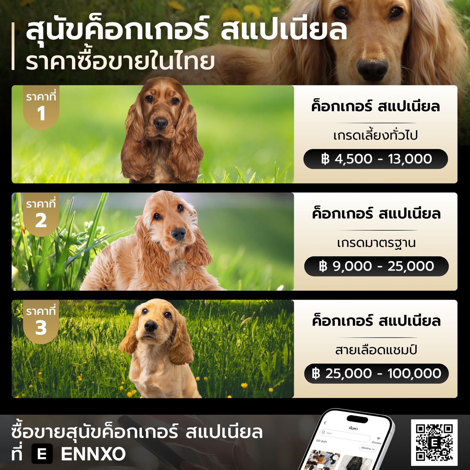 ราคาของสุนัขค็อกเกอร์ สแปเนียล