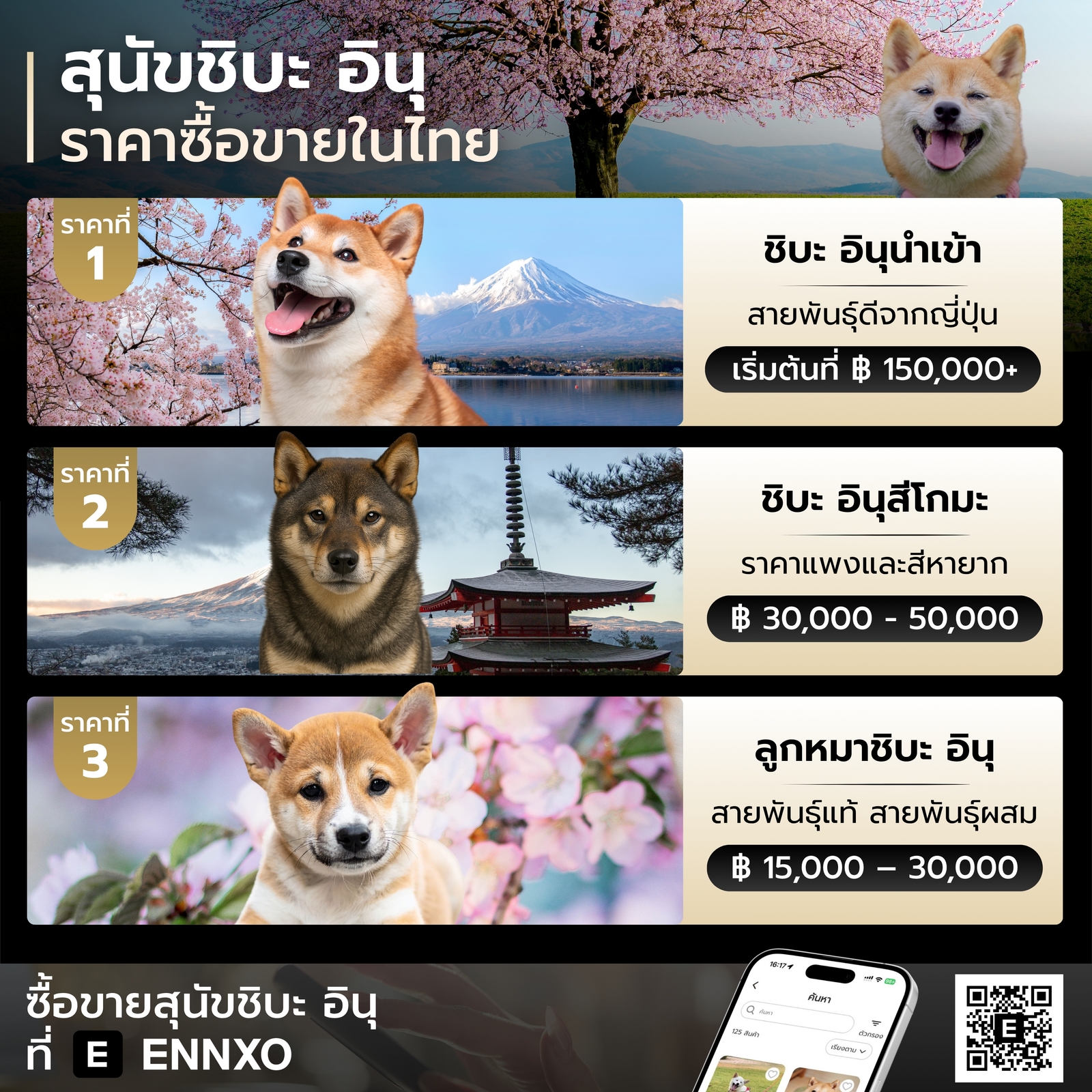 ราคาสุนัขชิบะ อินุ เท่าไหร่