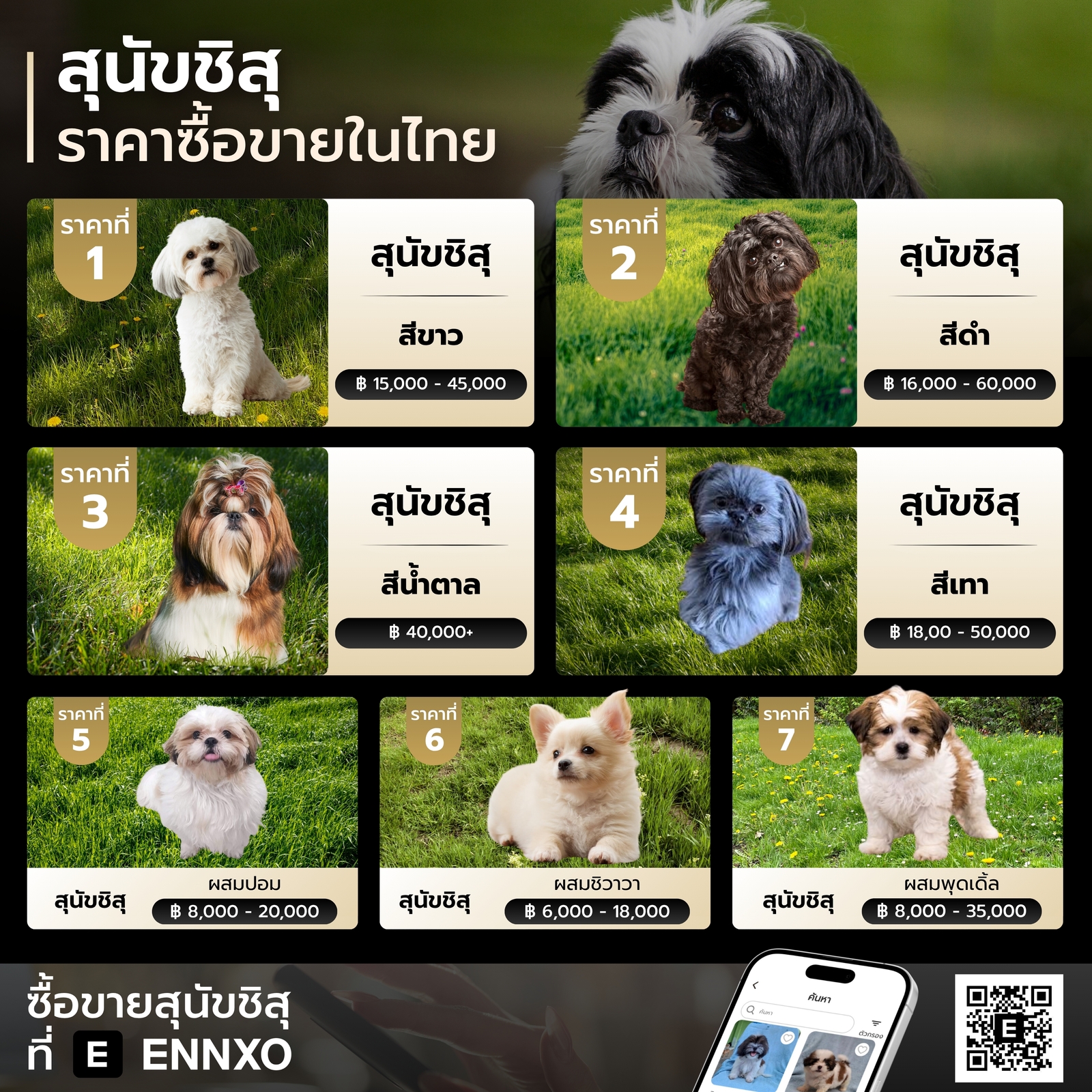 ราคาซื้อขายสุนัขชิสุในไทย