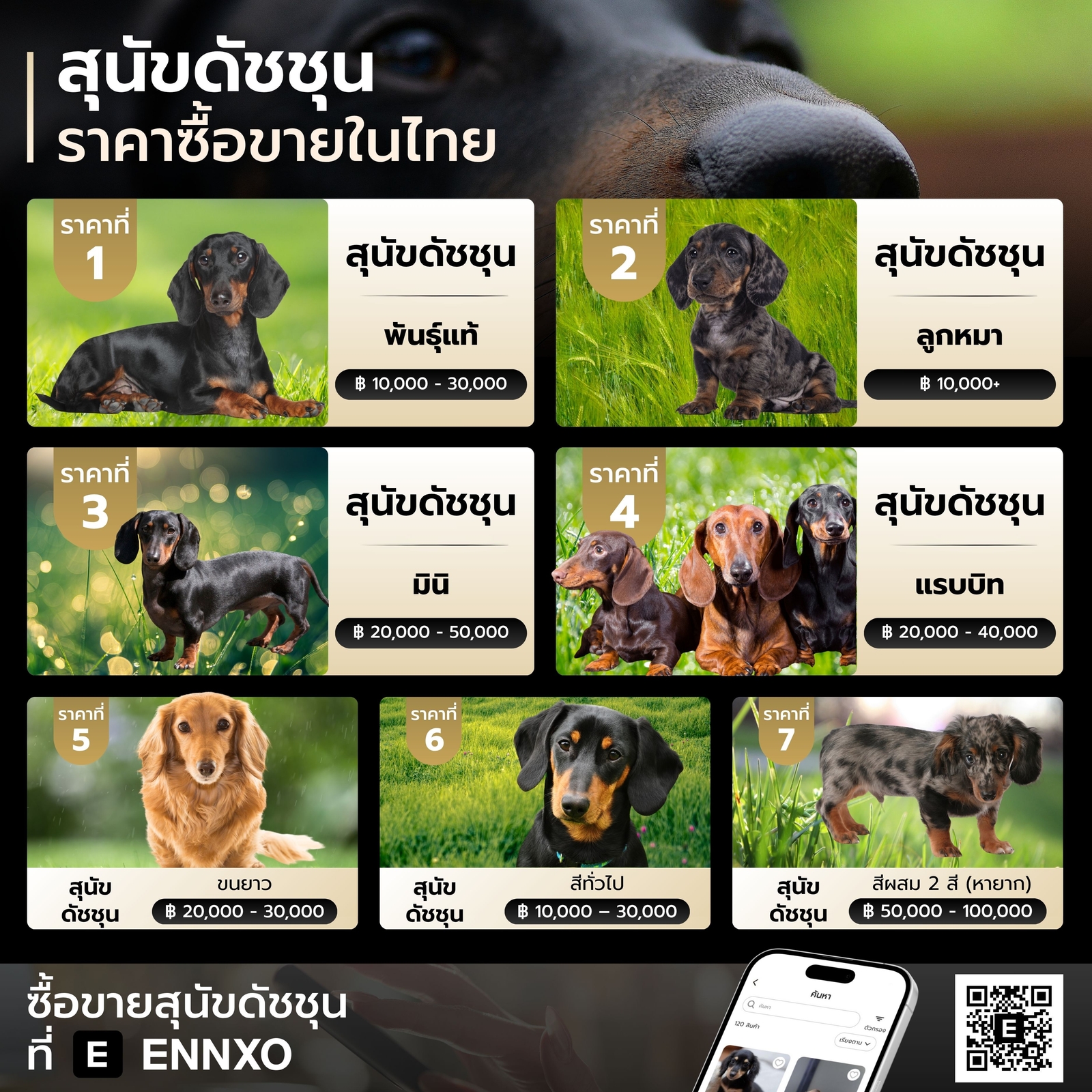 ดัชชุน ราคาเท่าไหร่