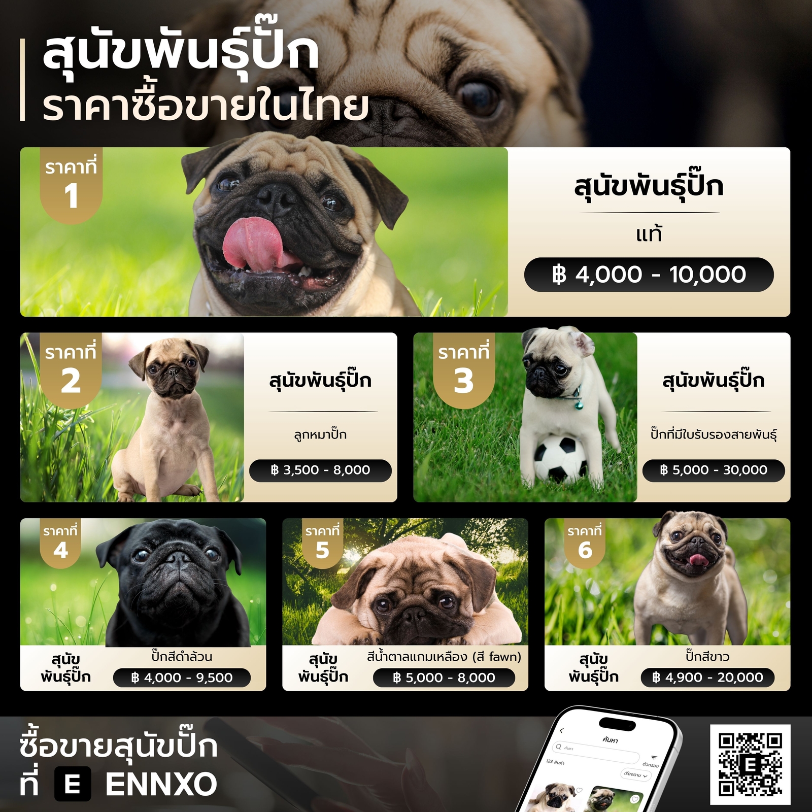 ปั๊ก ราคาเท่าไหร่