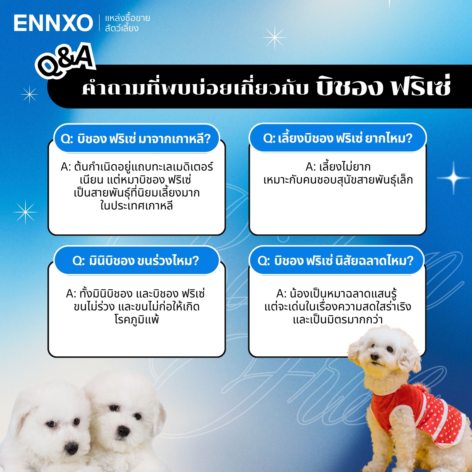 สุนัขพันธุ์อะไรที่คล้ายพุดเดิ้ล