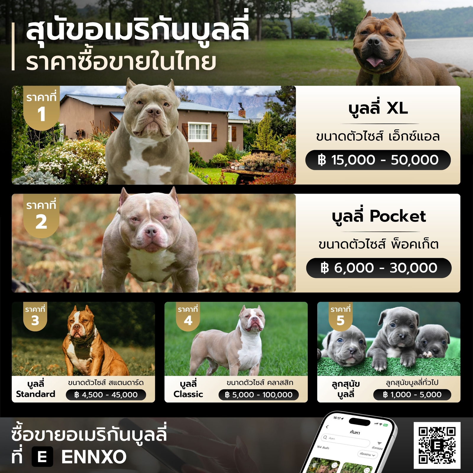 สุนัขอเมริกันบูลลี่ ราคาเท่าไหร่