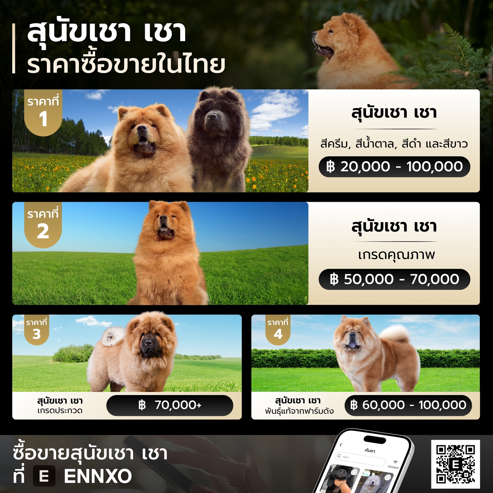 ราคาของสุนัขเชา เชา