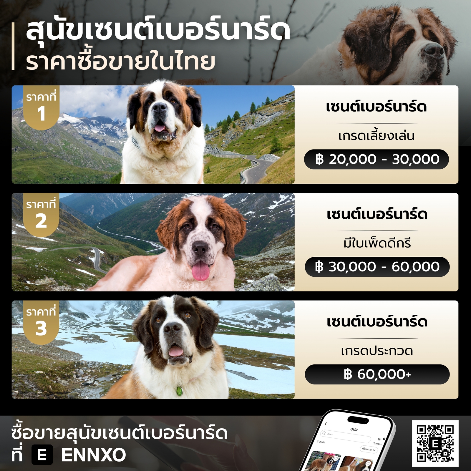 ราคาของสุนัขเซนต์เบอร์นาร์ด