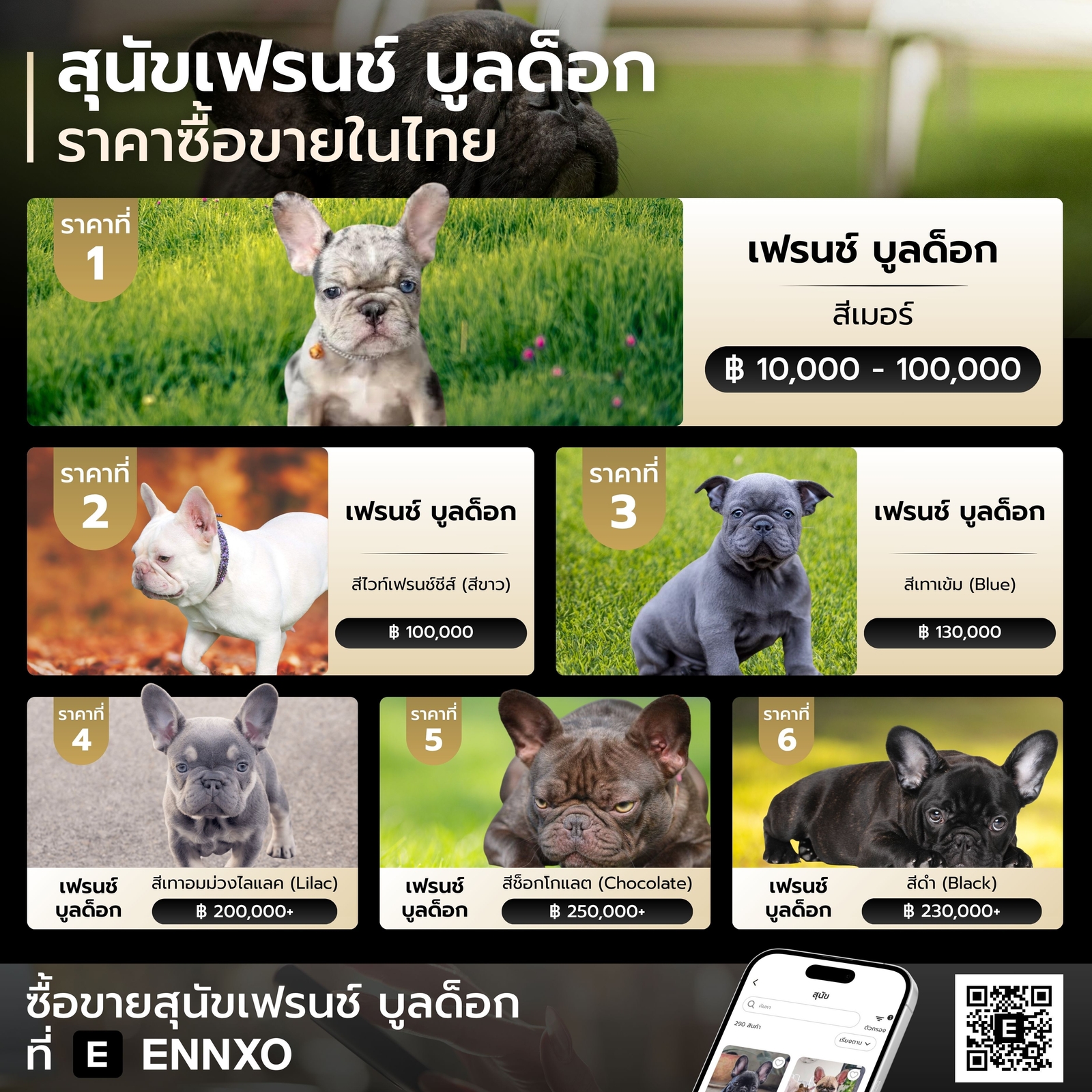 เฟรนช์ บูลด็อก ราคาเท่าไหร่