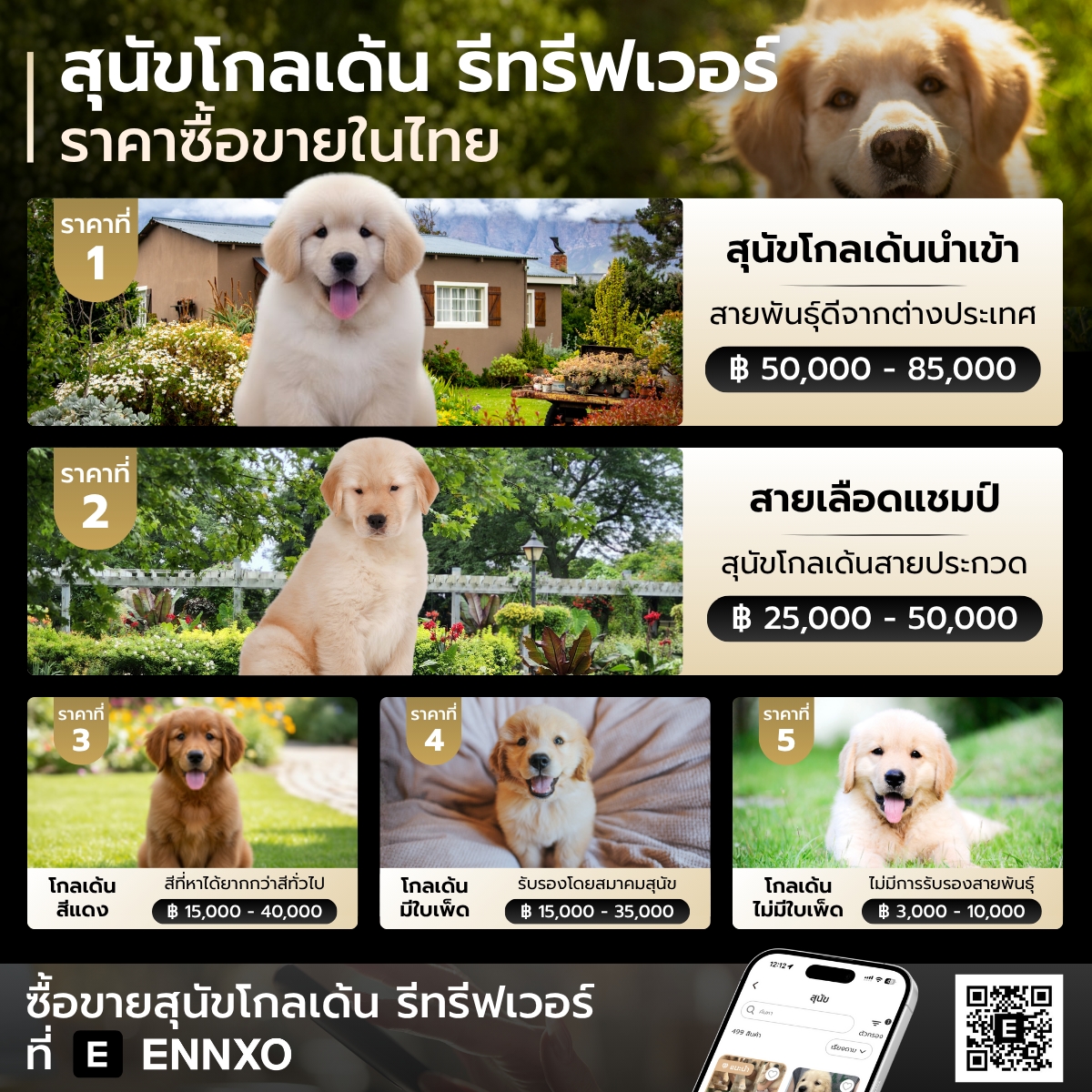 ราคาซื้อขายในไทยของสุนัขโกลเด้น รีทรีฟเวอร์