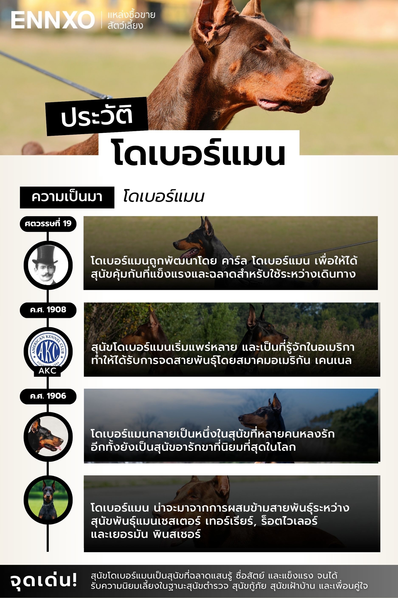 โดเบอร์แมน ประวัติความเป็นมา