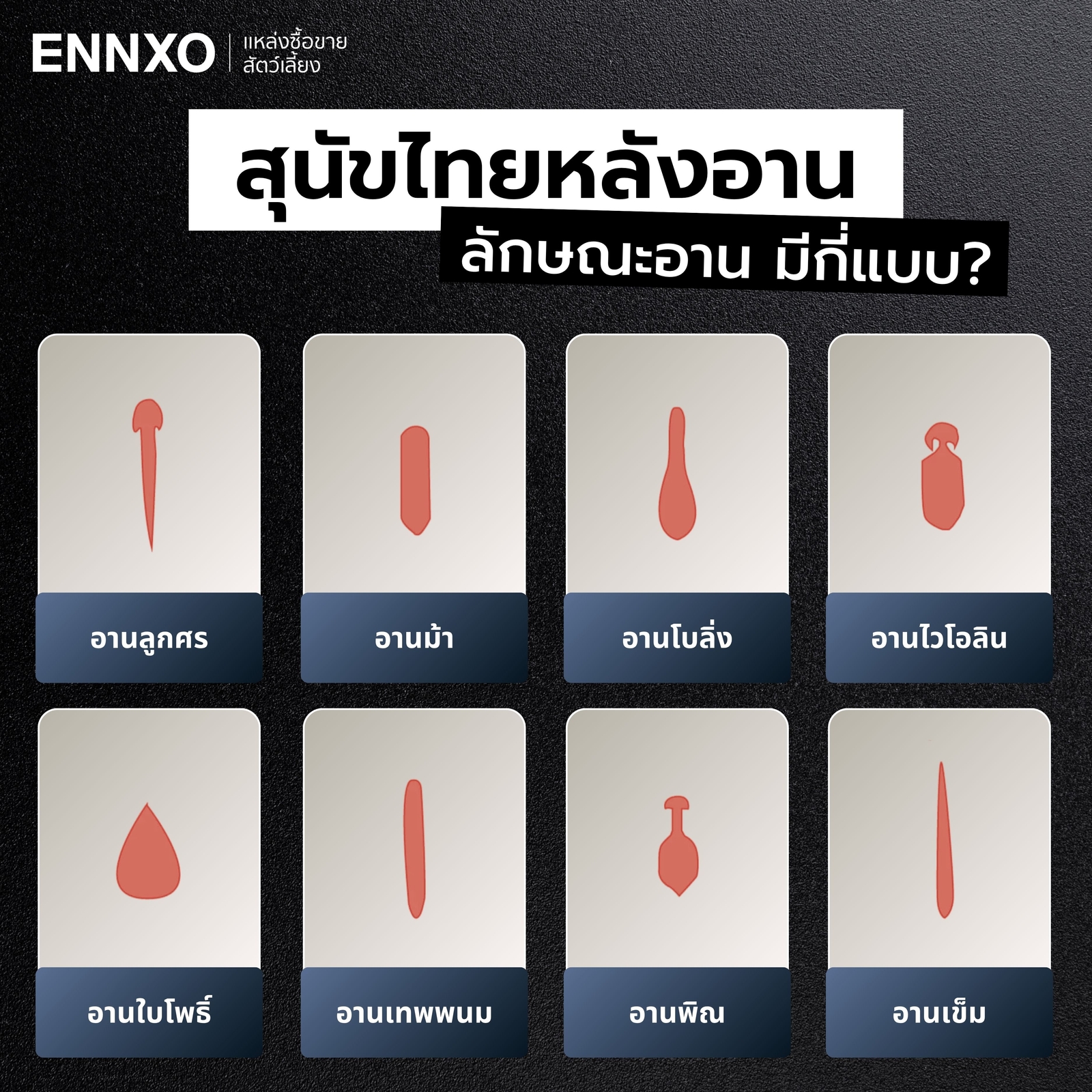 สุนัขไทยหลังอาน อานมีกี่แบบ