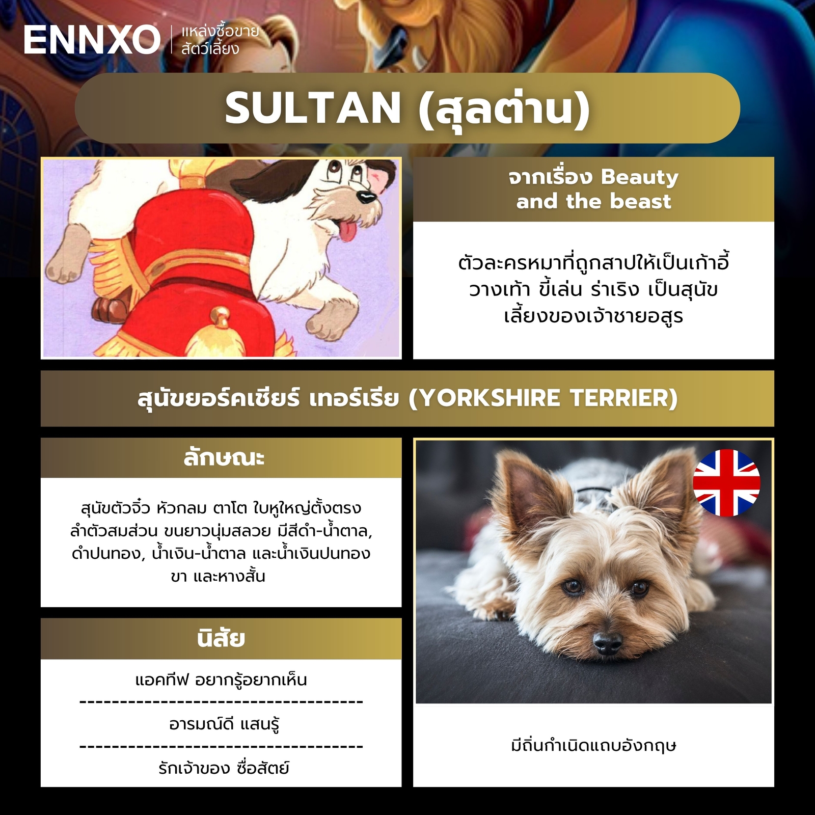 สุลต่าน ตัวละครหมาดิสนีย์จากเรื่อง Beauty and the beast