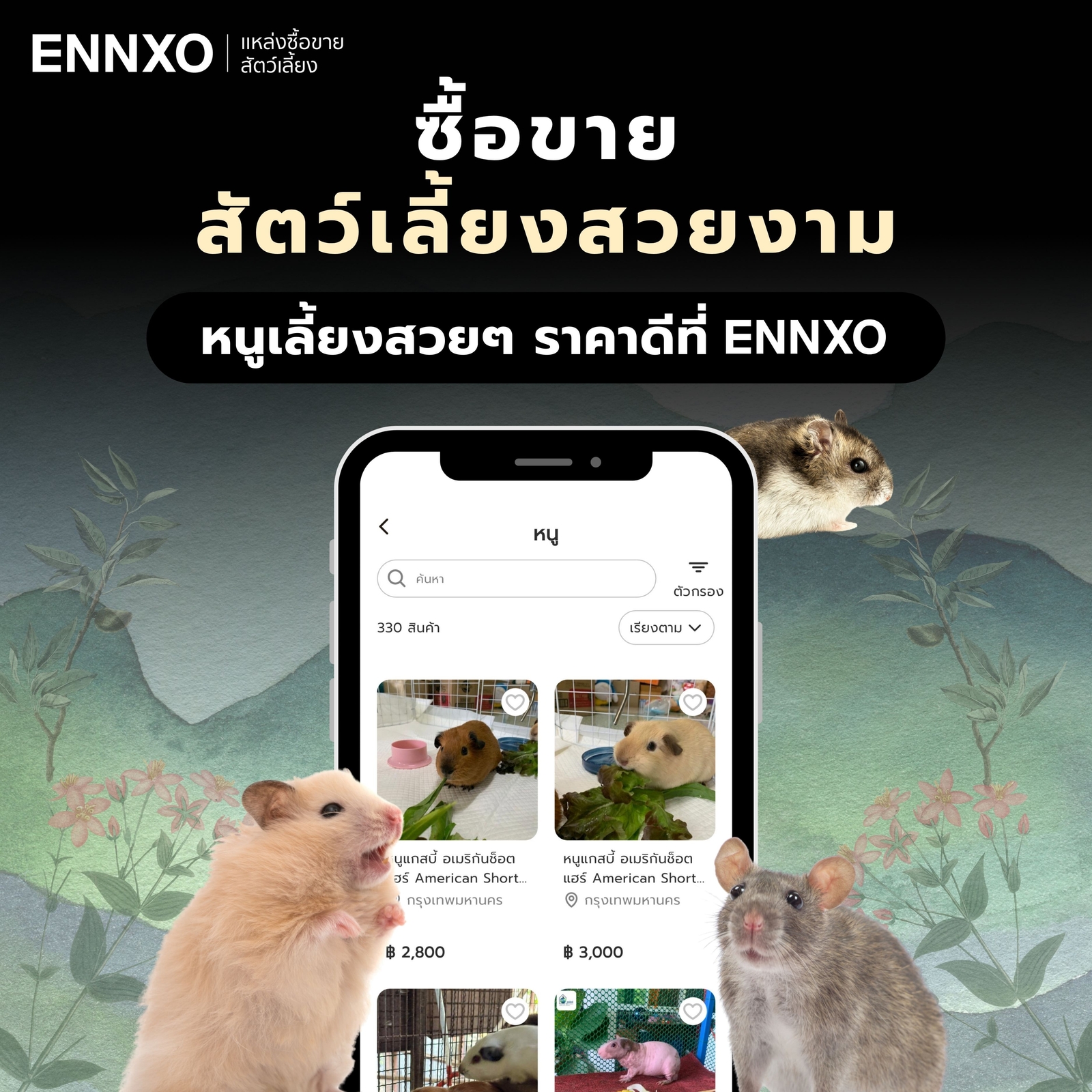 หนูเลี้ยงสวยๆ-ราคาถูก-ซื้อที่เอ็นโซ่