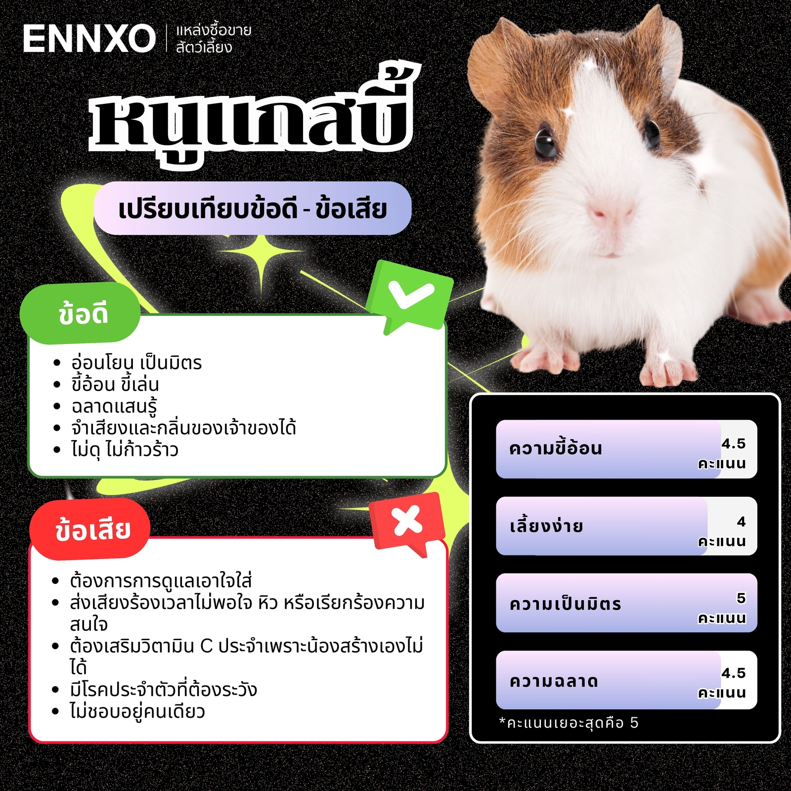 ข้อดี ข้อเสียของหนูแกสบี้