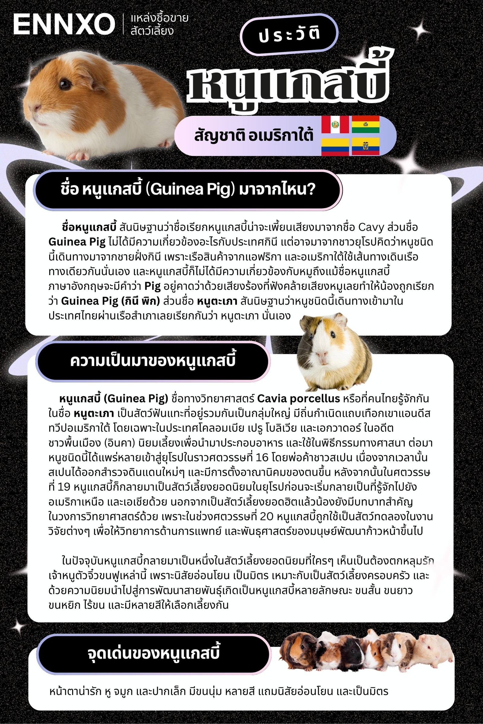 ประวัติ หนูแกสบี้