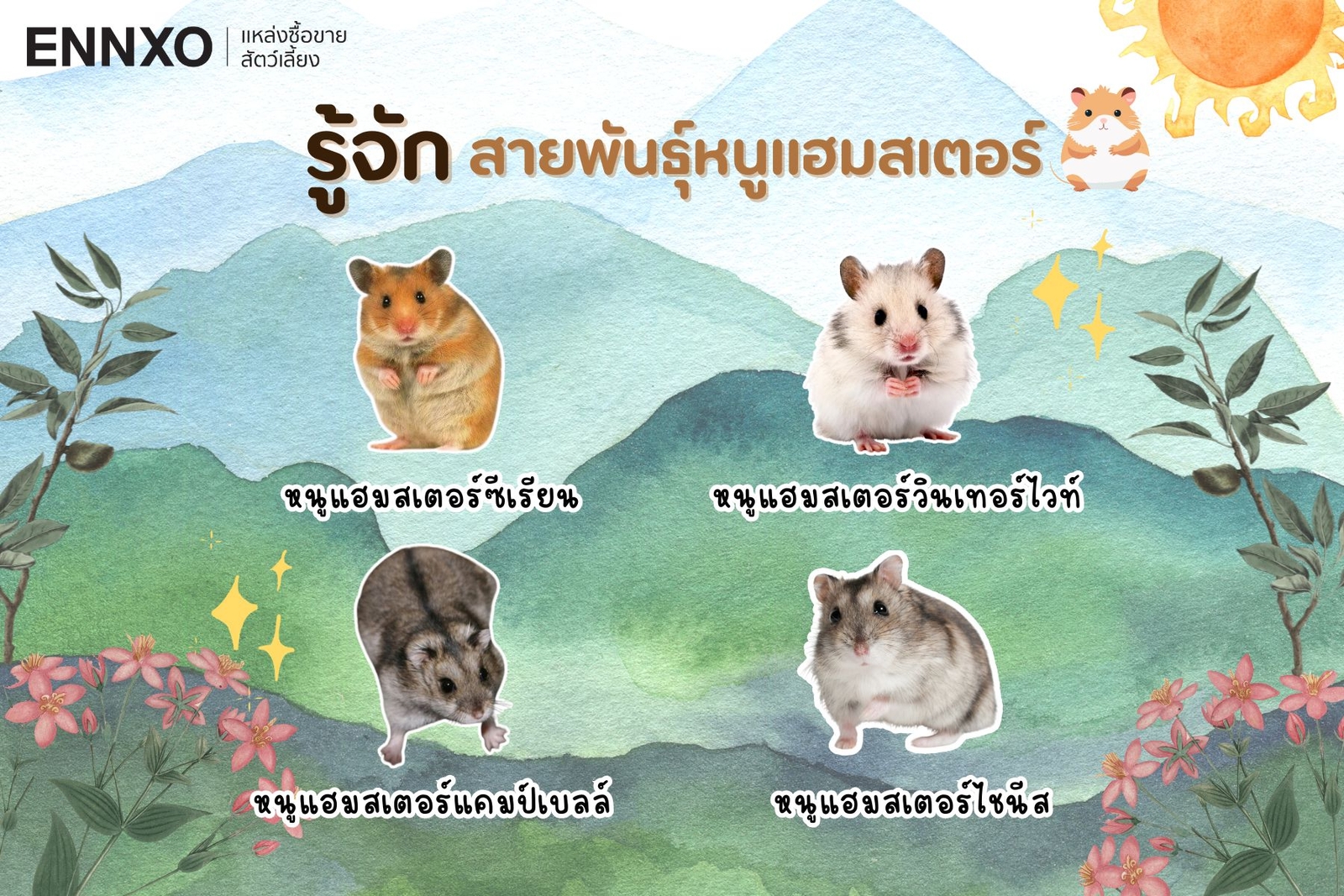 หนูแฮมเตอร์พันธุ์ต่างๆ ราคา