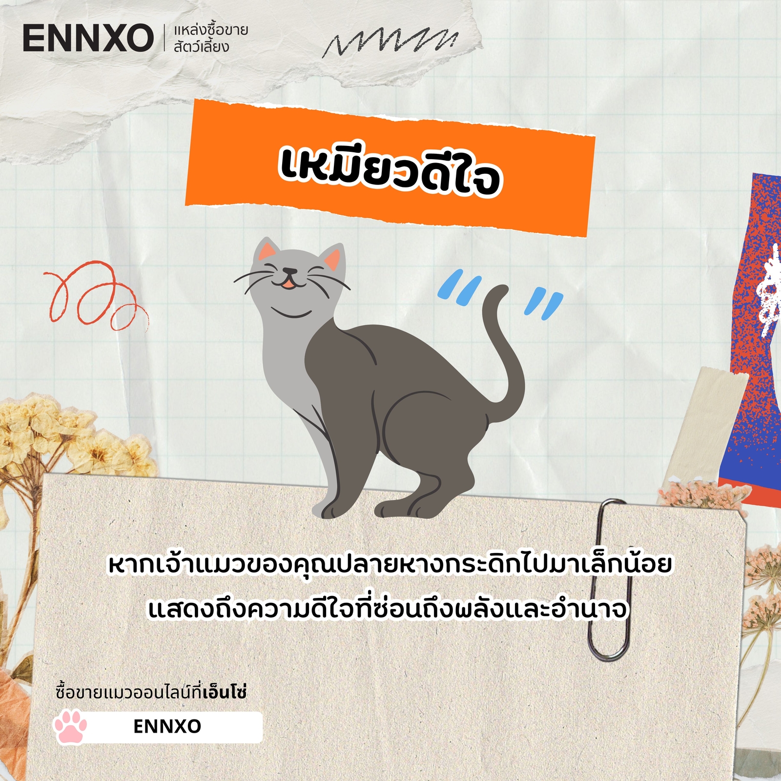 หางแมวตั้งขึ้นปลายหางกระดิกเล็กน้อย แปลว่า