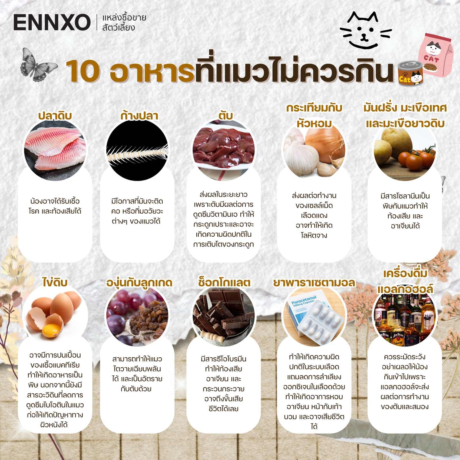 10 อาหารที่แมวไม่ควรกิน