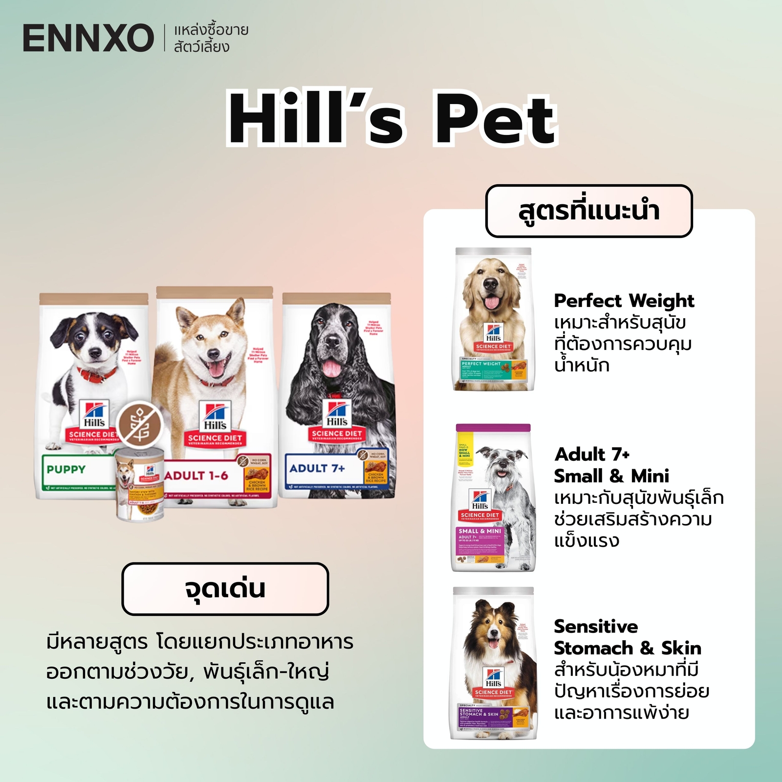 อาหารสุนัข Hill’s Pet