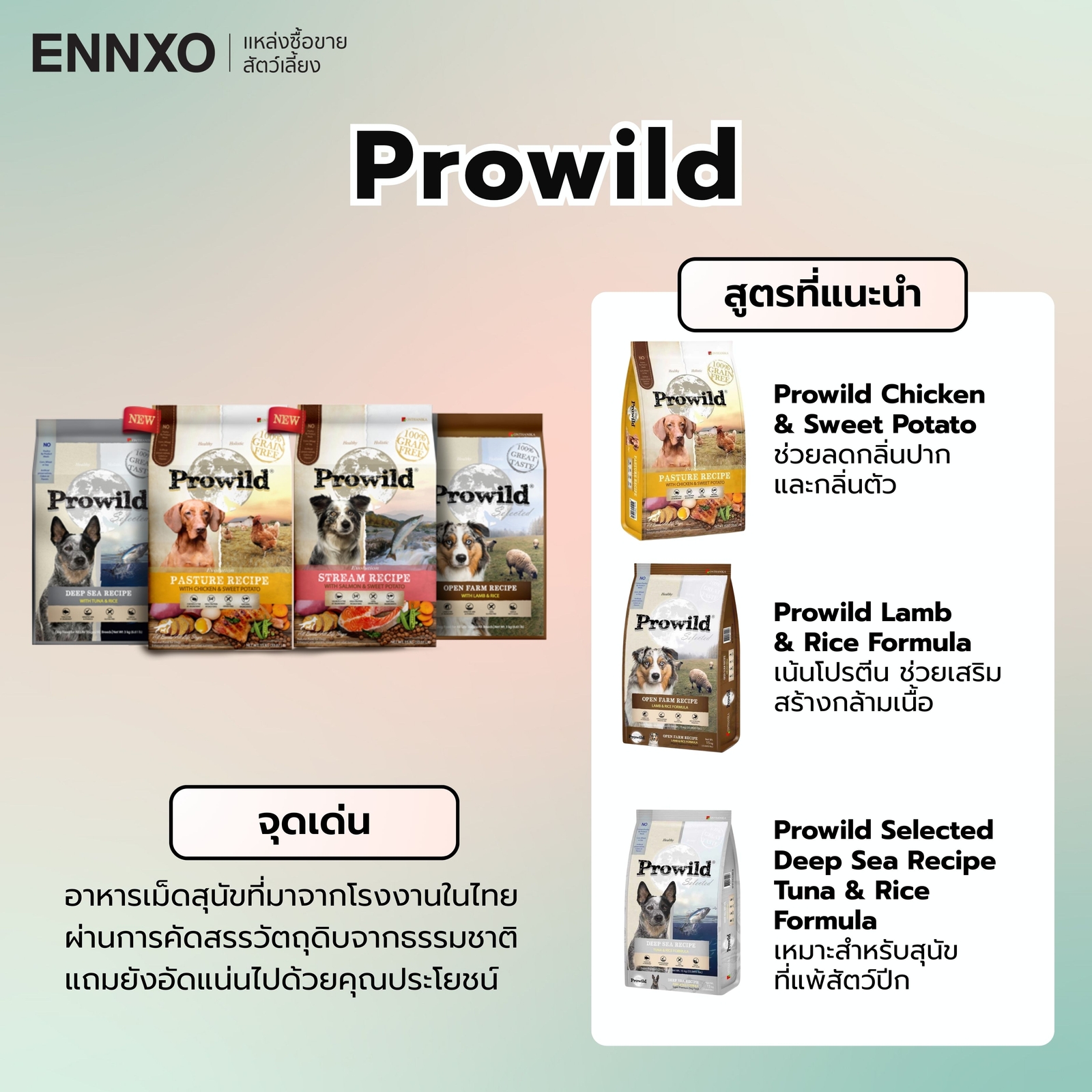 อาหารสุนัข Prowild