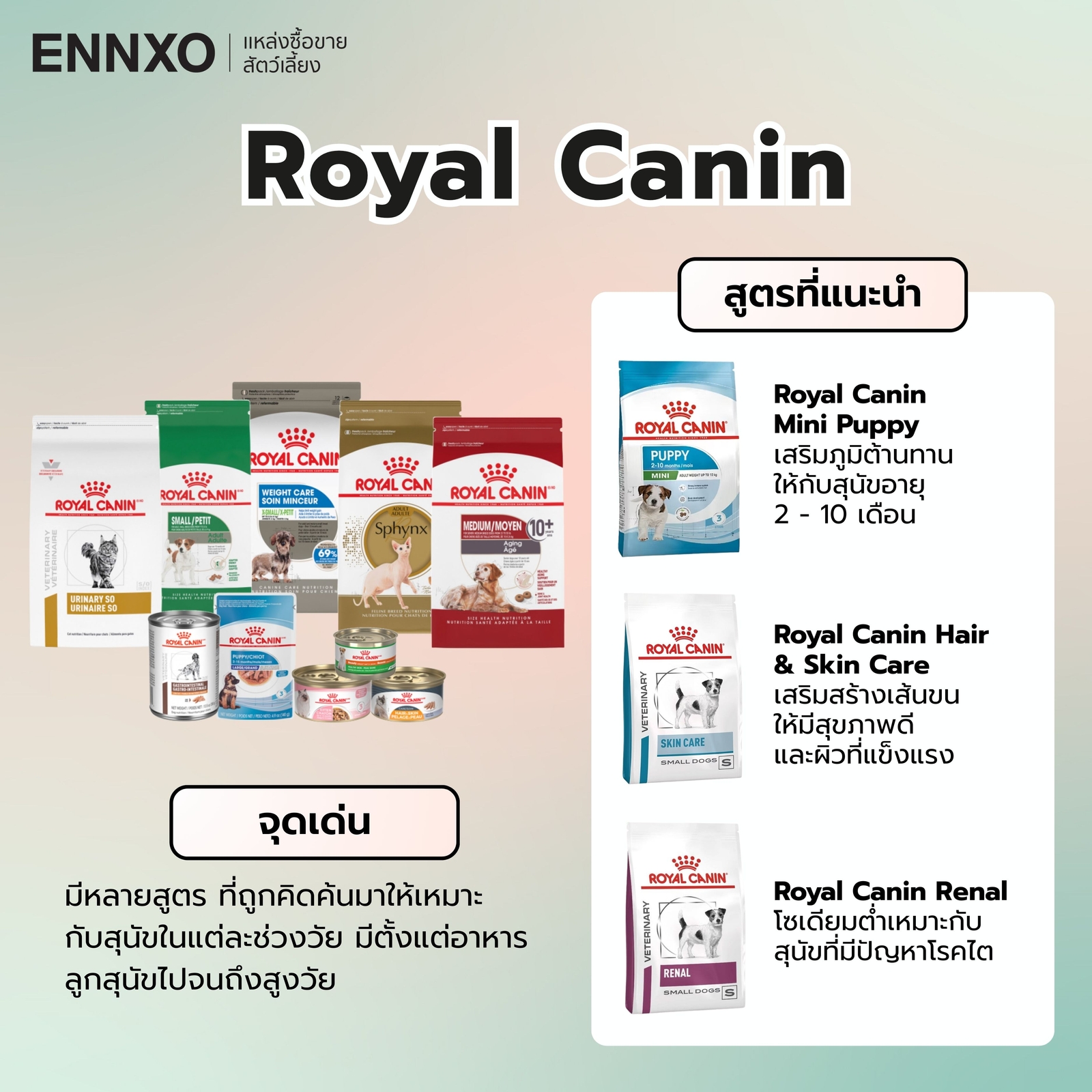 อาหารสุนัข Royal Canin