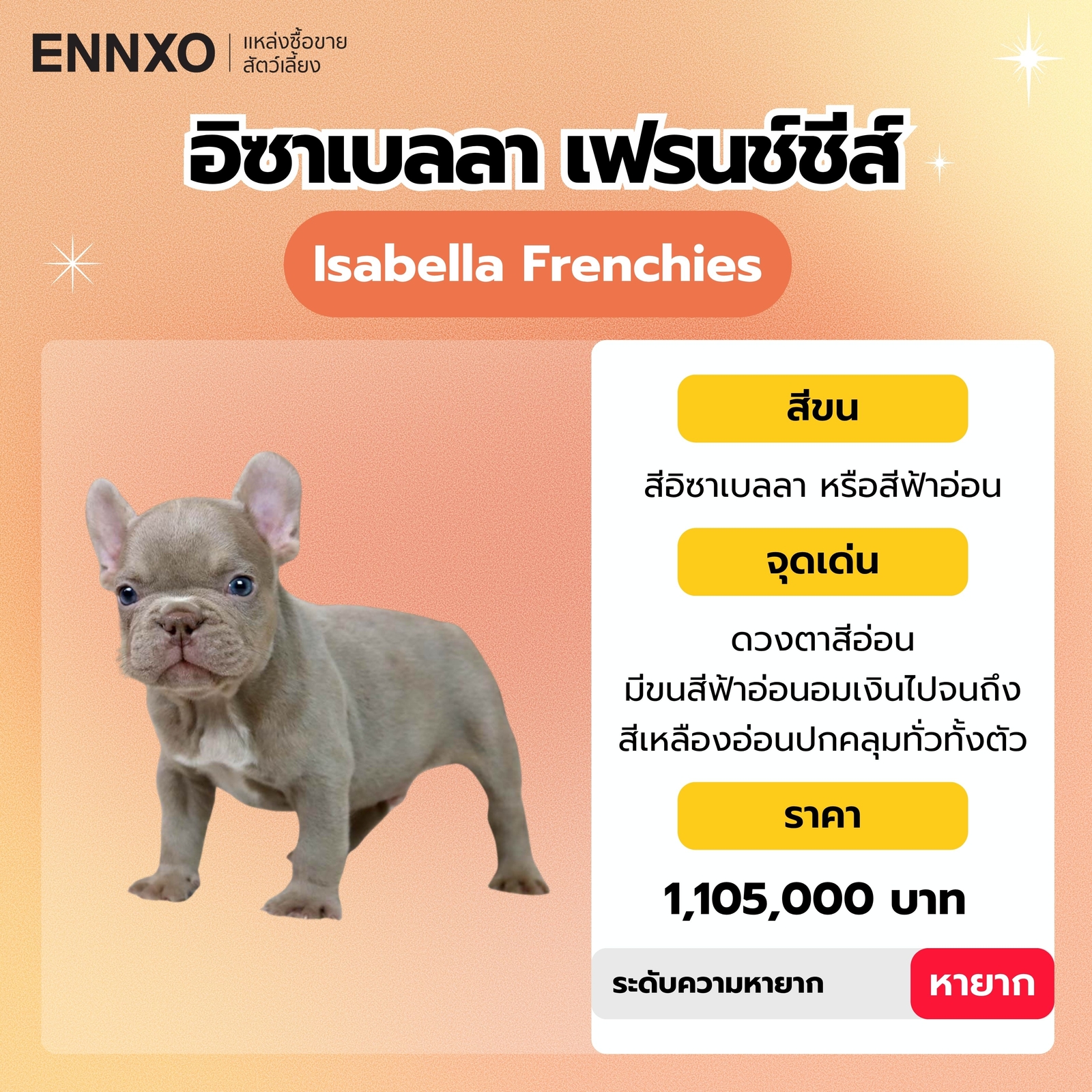 อิซาเบลลา เฟรนช์ชีส์