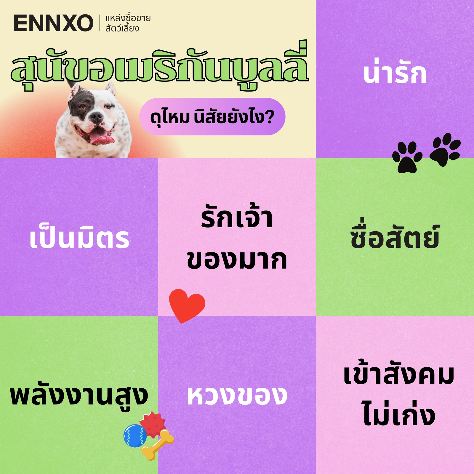 อเมริกัน บูลลี่ นิสัยดุไห