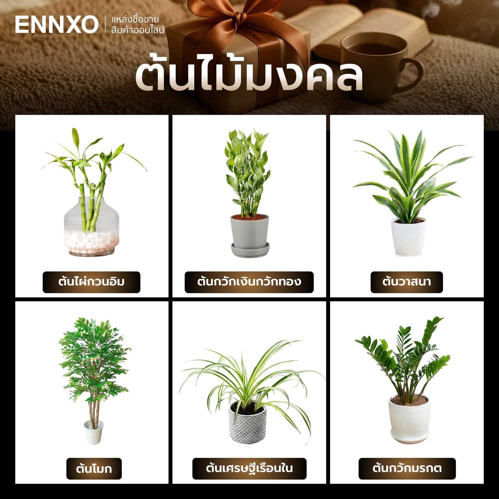 เซตของขวัญให้ผู้ใหญ่