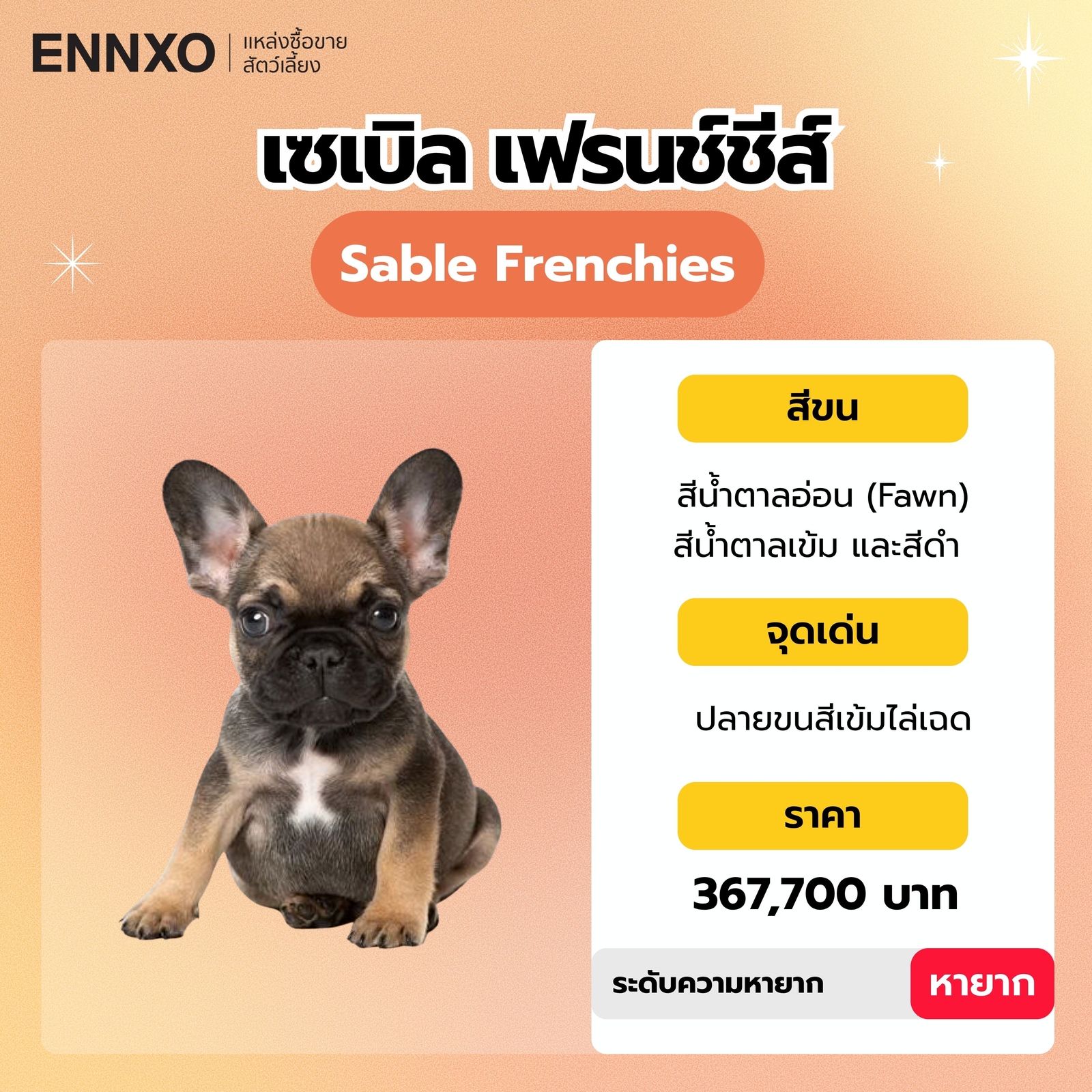 เซเบิล เฟรนช์ชีส์