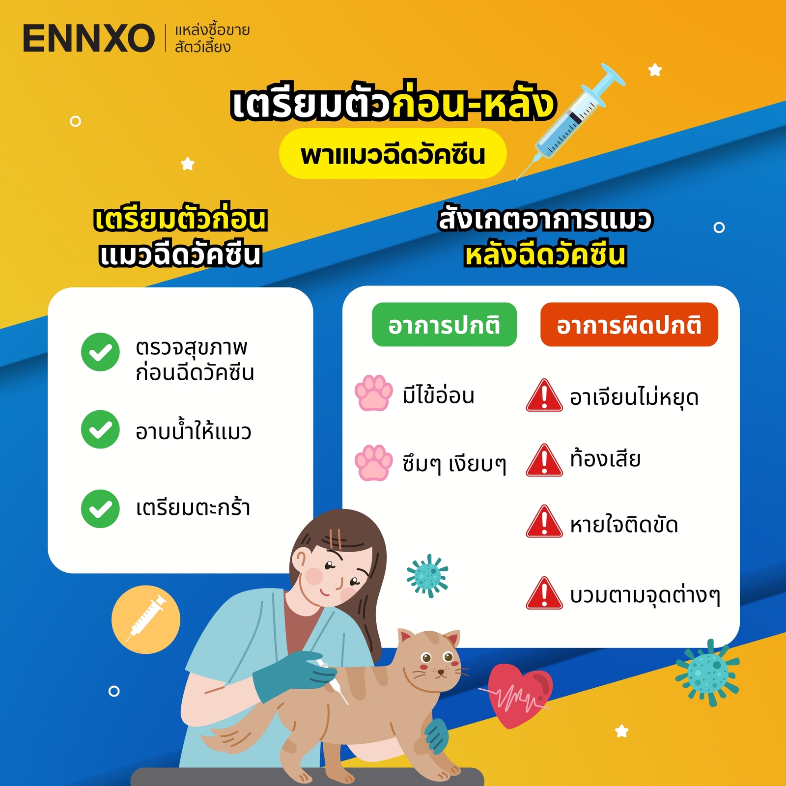 ข้อควรรู้ก่อน-หลังพาแมวไปฉีดวัคซีน