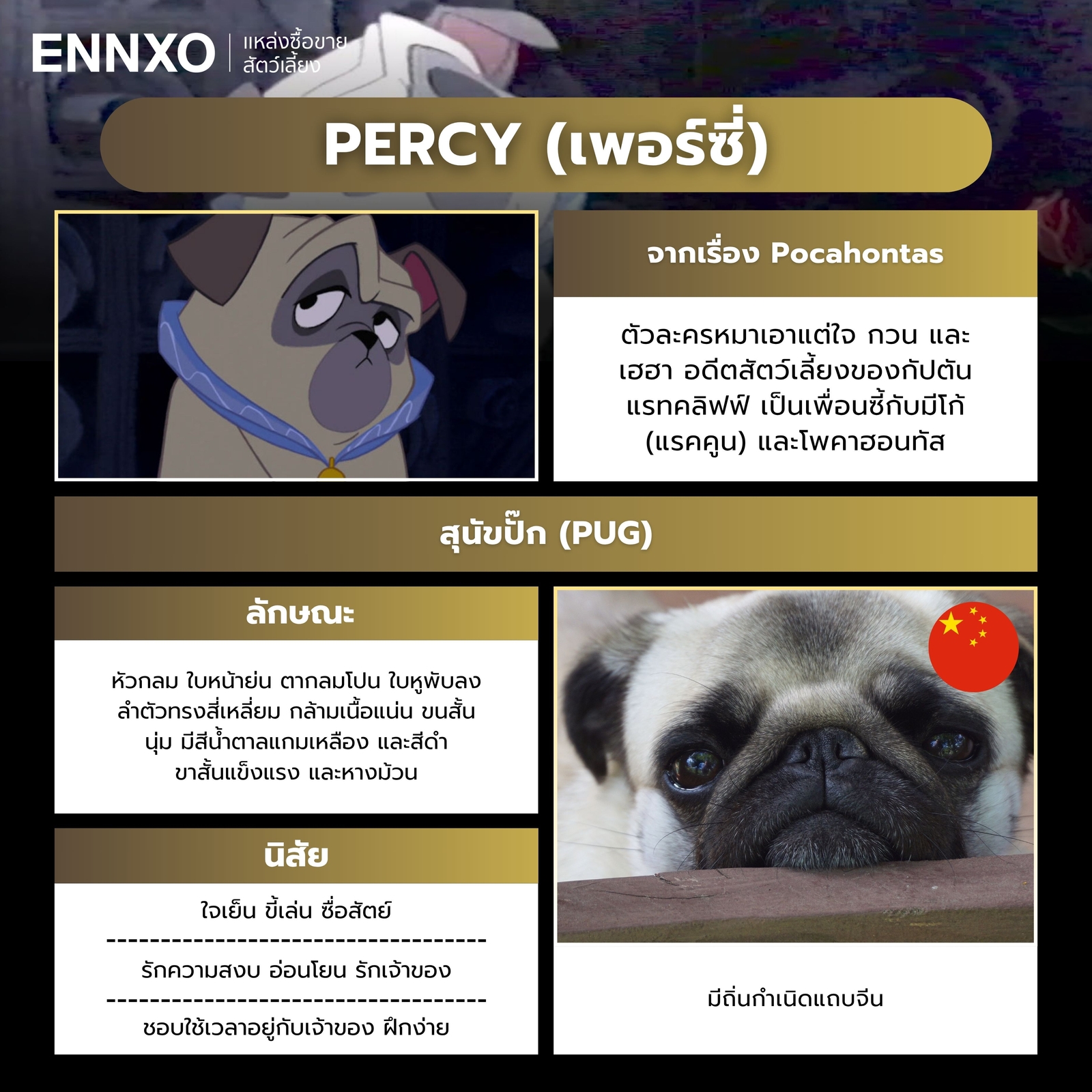 เพอร์ซี่ ตัวการ์ตูนหมาดิสนีย์