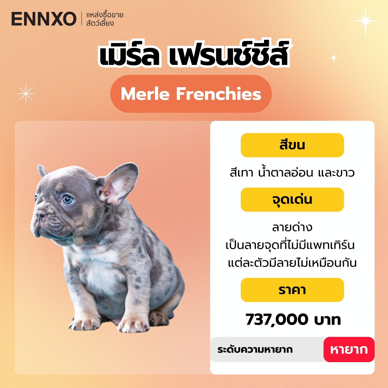 เมิร์ล เฟรนช์ชีส์