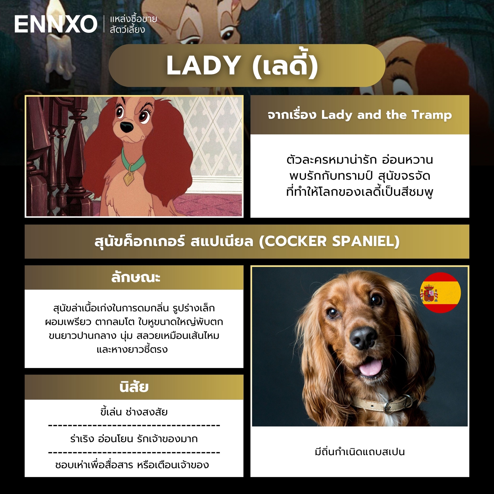Lady and the Tramp พันธุ์อะไร