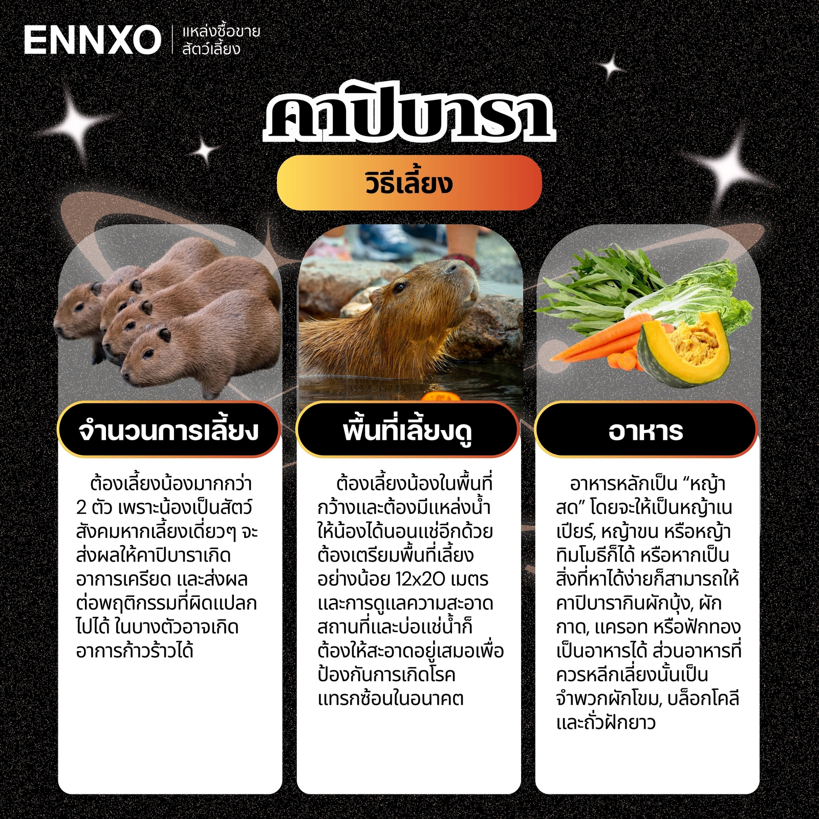 เลี้ยงคาปิบาร่าต้องเตรีมอะไรบ้าง