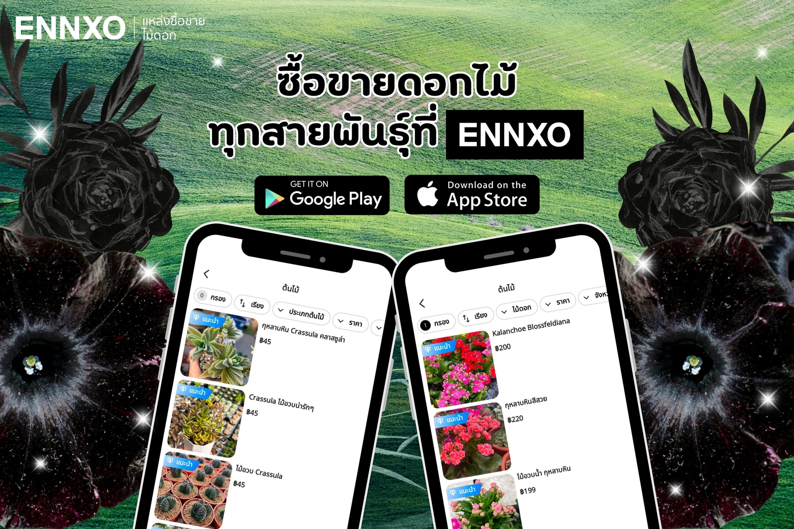 ENNXO ตลาดซื้อขายดอกไม้ออนไลน์