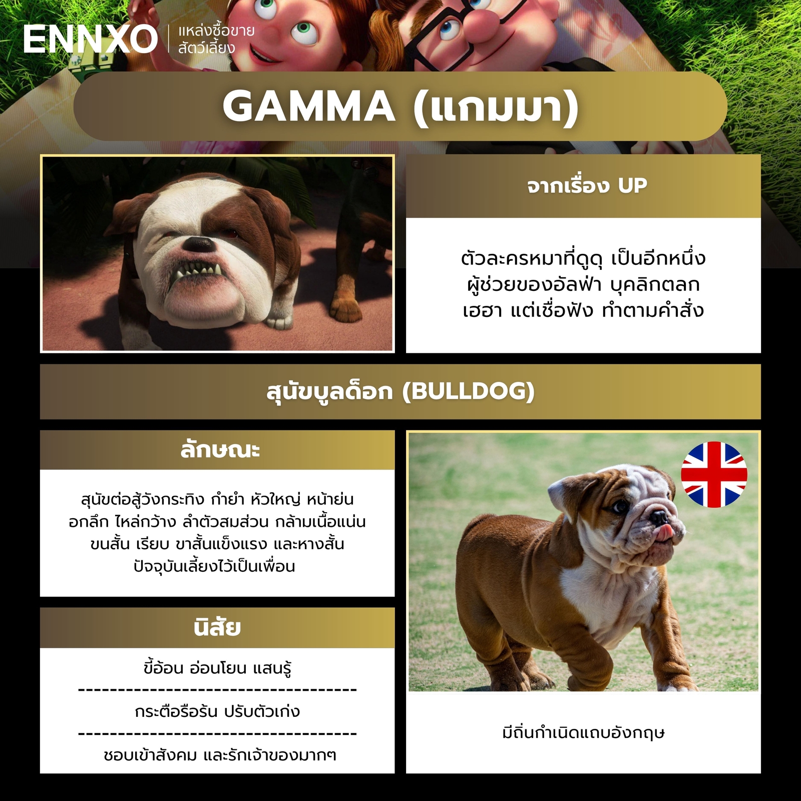 แกมมา ตัวละครหมาดิสนีย์จากเรื่อง Up