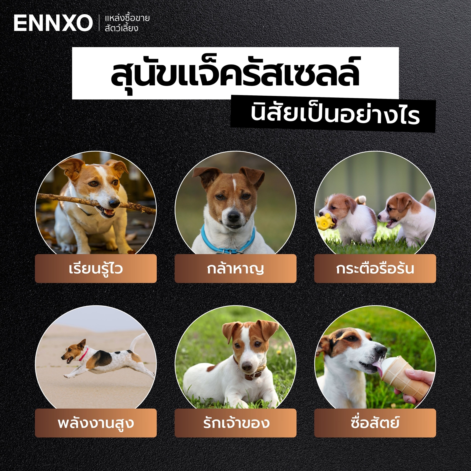 แจ็ครัสเซล-นิสัย