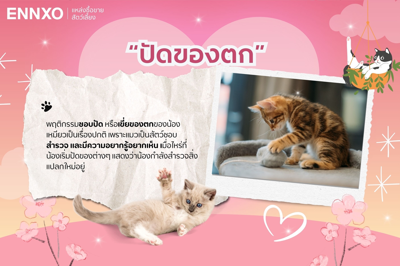 พฤติกรรมการปัดของตกของน้องเหมียวหมายถึงอะไร