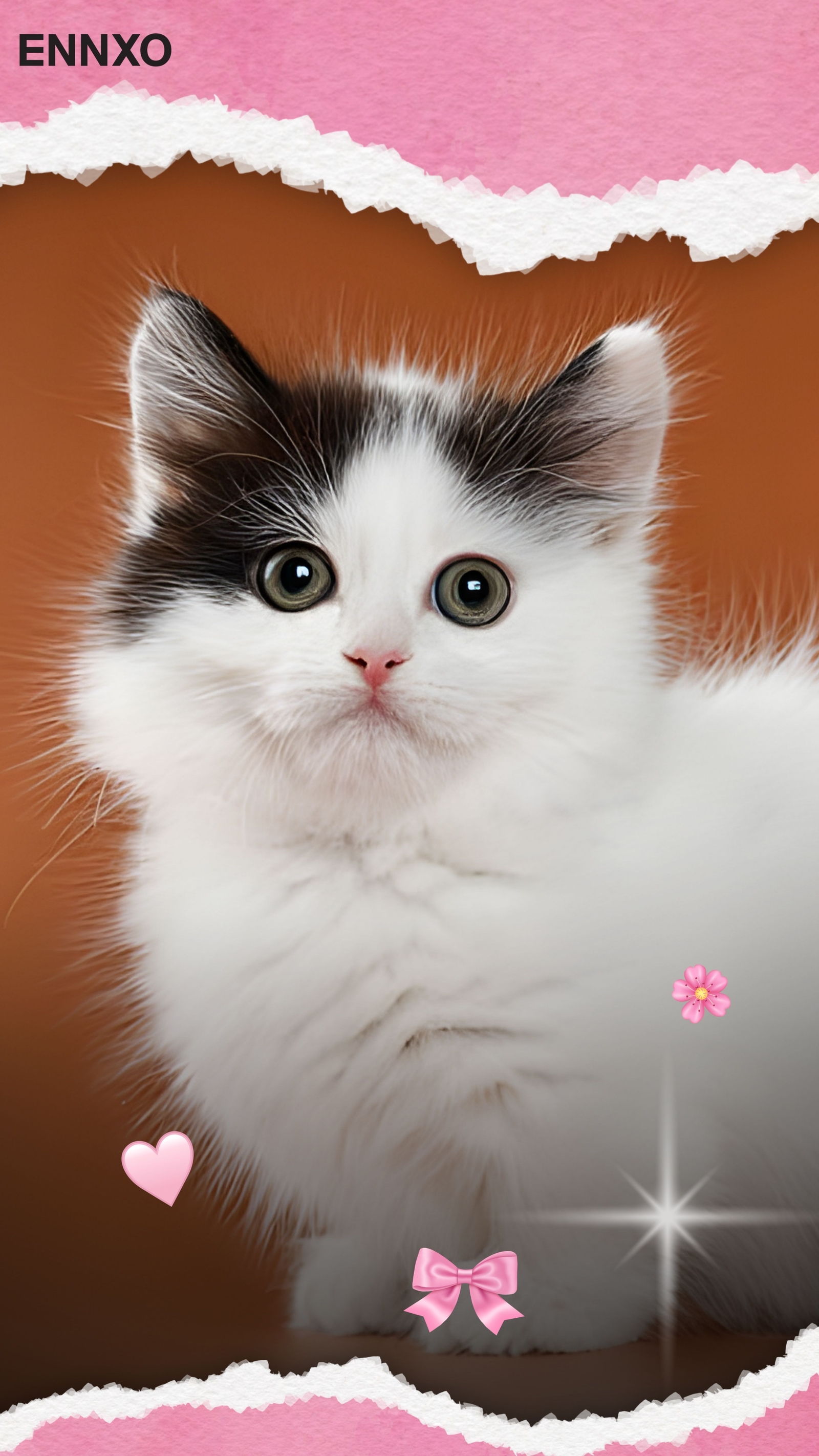 แมวมันช์กิ้น รูปแมวน่ารัก วอลเปเปอร์โทรศัพท์