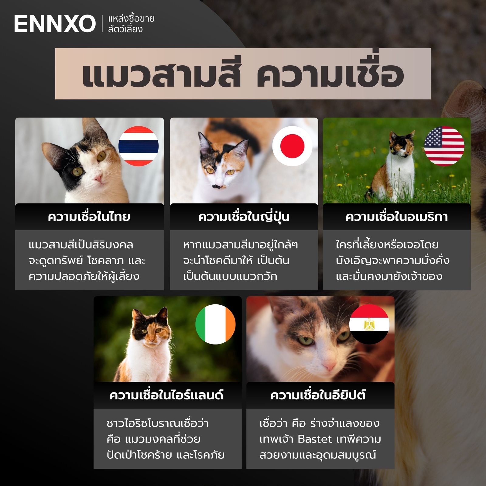 แมวสามสี ความเชื่อในประเทศต่างๆ