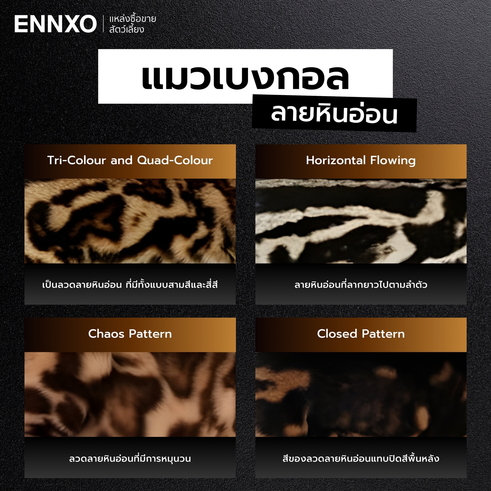 ลวดลายแมวเบงกอล ลายหินอ่อน มีกี่แบบ
