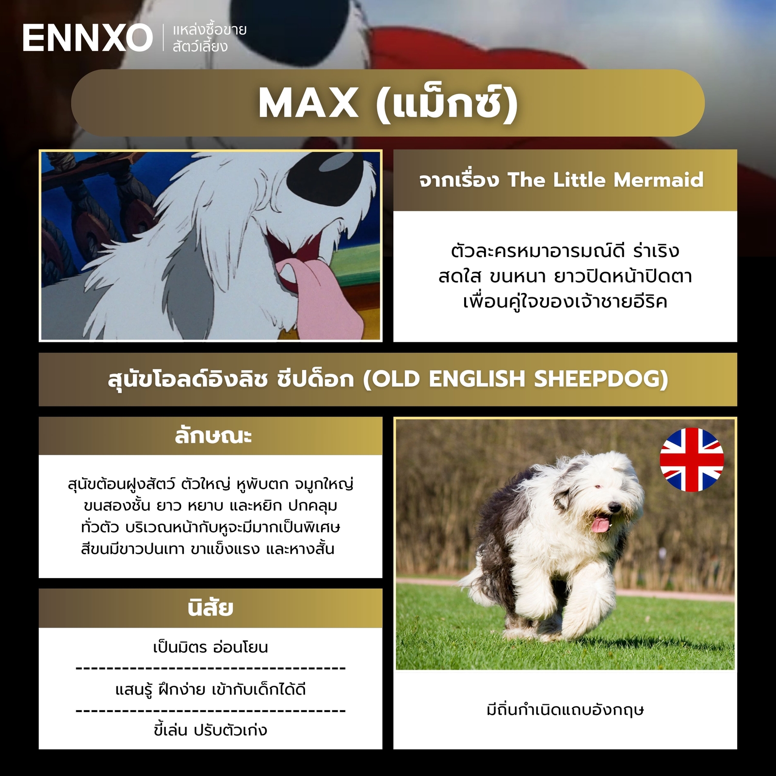 แม็กซ์ ตัวละครหมาดิสนีย์จาก The Little Mermaid