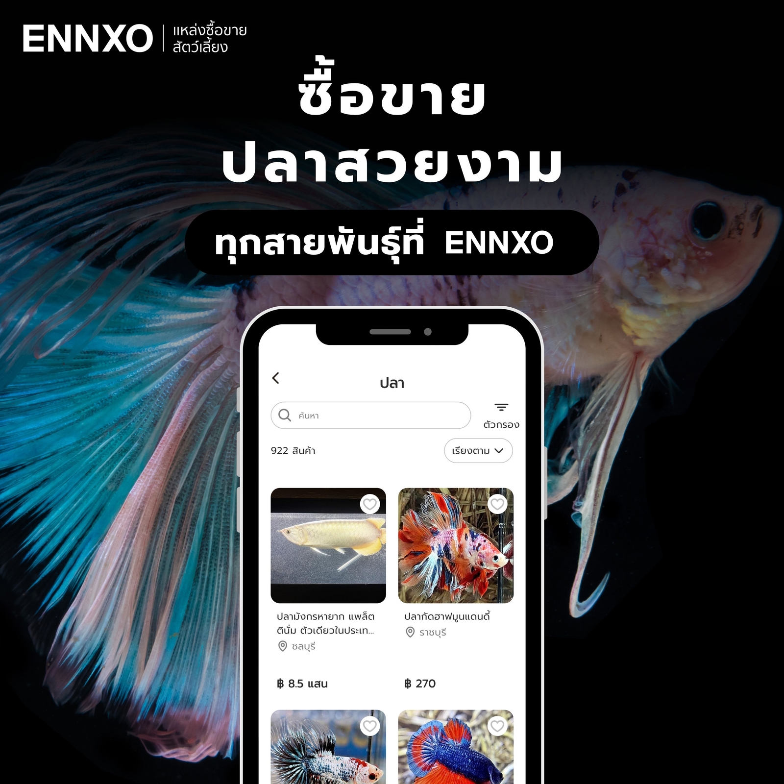ซื้อขายปลาสวยงาม ทุกชนิดได้ที่ ENNXO