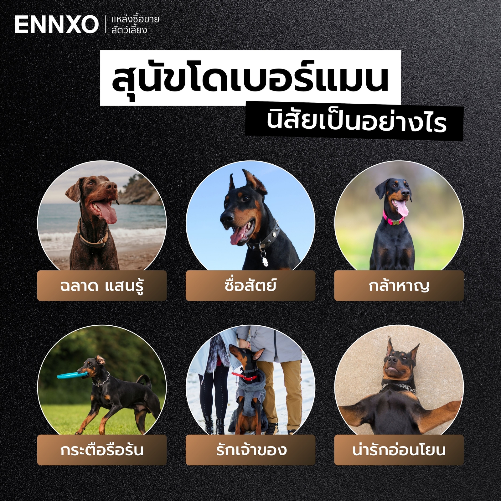 โดเบอร์แมน นิสัย