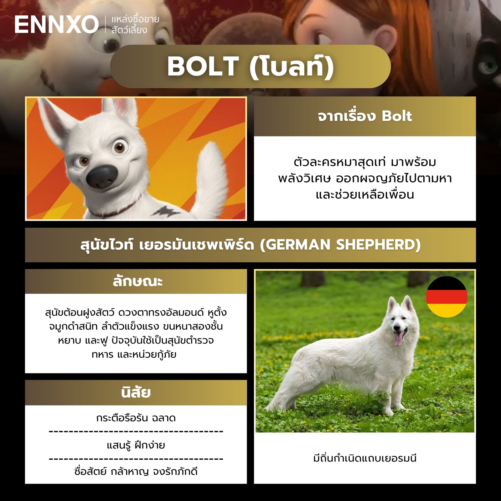 การ์ตูนสุนัขสีขาวดิสนีย์