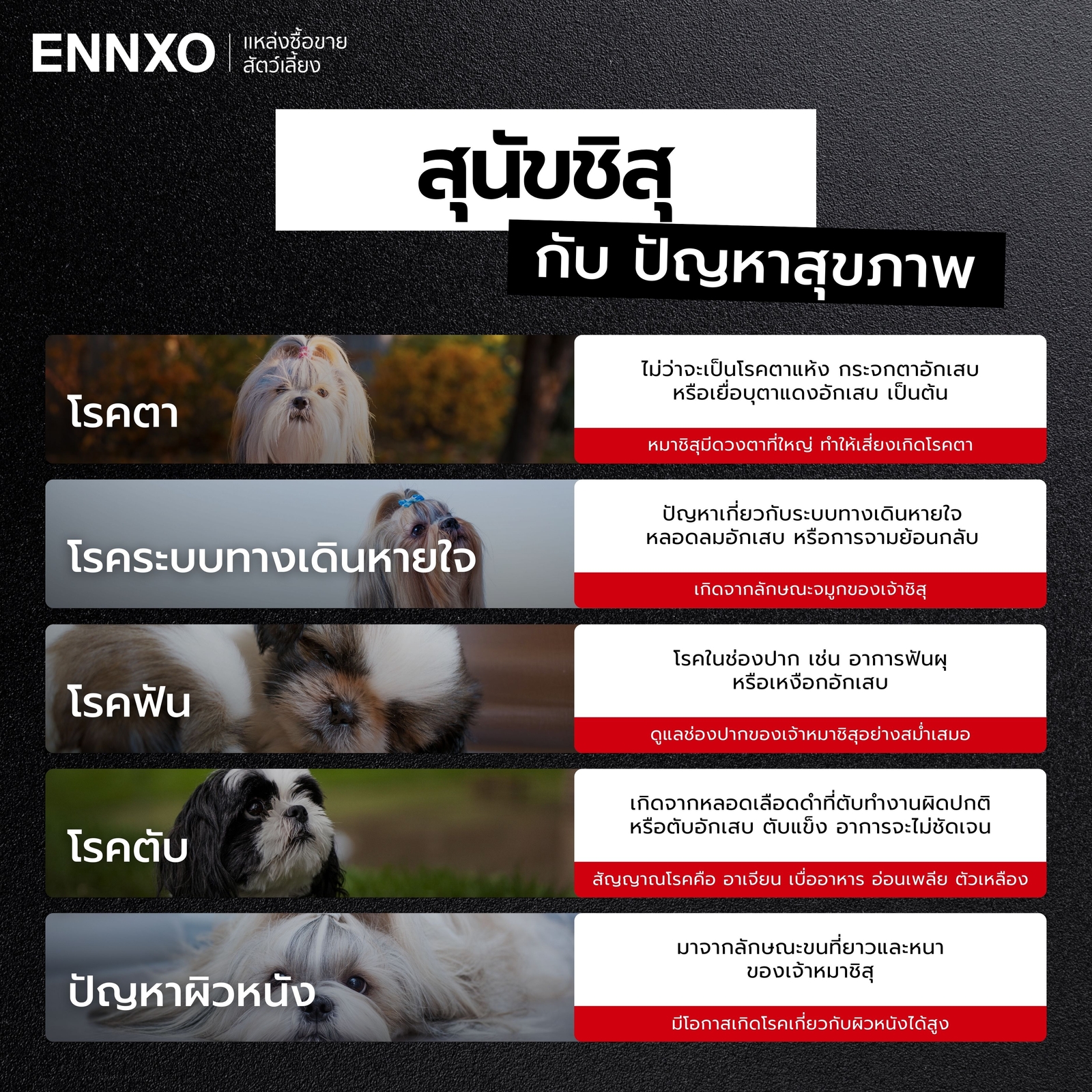 โรคที่พบบ่อยของหมาชิสุ